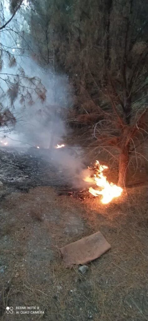 علت آتش سوزی درختان دانشگاه تبریز چه بود؟