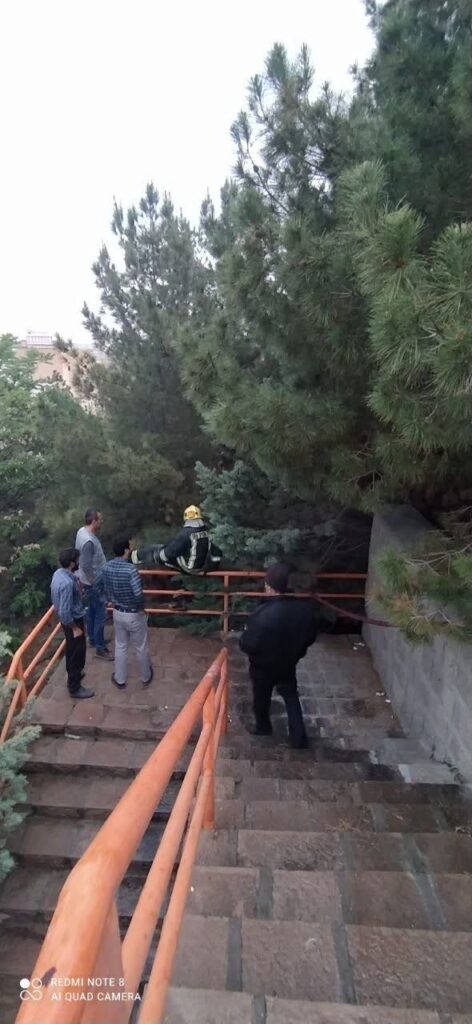 علت آتش سوزی درختان دانشگاه تبریز چه بود؟