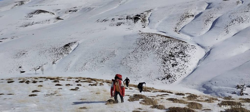 سه کوهنورد هریسی مفقود شده در کوهستان صحیح و سالم پیدا شدند