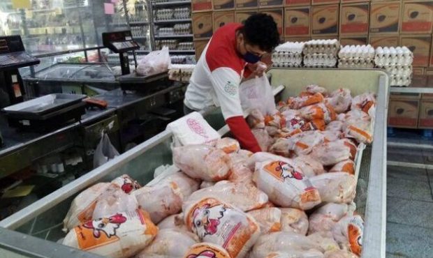 توزیع کافی مرغ موجب کاهش قیمت در بازار آذربایجان شرقی شده است