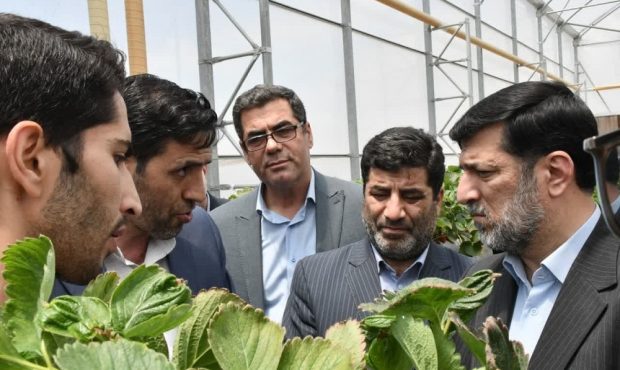 بازدید سرپرست وزارت جهادکشاورزی از شهرک گلخانه ای عجب شیر