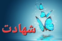 پیله‌ای که در میدان جنگ پروانه شد 