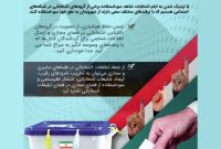 مراقب تخلفات انتخاباتی در فضای مجازی باشید