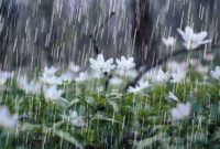باران آسمان آذربایجان‌شرقی را فرا می‌گیرد