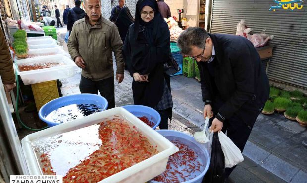 تبریز در تدارک استقبال از بهار/جریان زندگی در خریدهای نوروزی