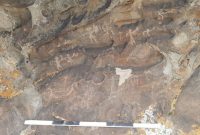 کشف نقوش صخره‌ای در منطقه تاریخی ورزقان