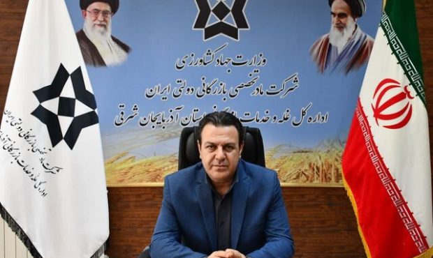 پرداخت ۹۲ درصد مطالبات گندمکاران آذربایجان شرقی پرداخت ۹۲ درصد مطالبات گندمکاران آذربایجان شرقی