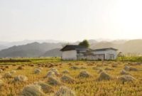 افزایش ۴۸ درصدی متوسط درآمد و ۴۳ درصدی هزینه خانوارهای شهری در آذربایجان شرقی افزایش ۴۸ درصدی متوسط درآمد و ۴۳ درصدی هزینه خانوارهای شهری در آذربایجان شرقی
