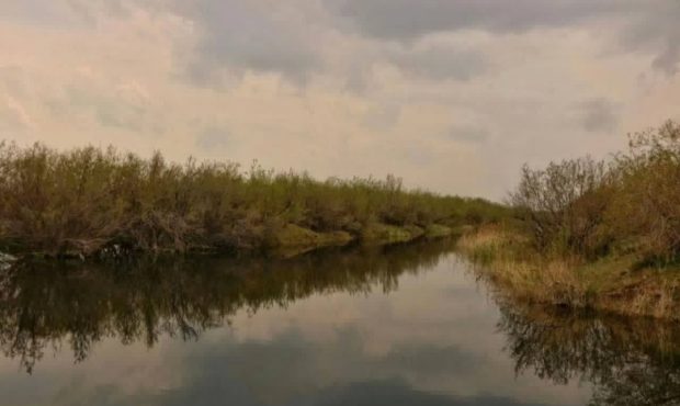 تالاب قرهقشلاق؛ در مسیر ثبت جهانی و نجات از بحران تالاب قرهقشلاق؛ در مسیر ثبت جهانی و نجات از بحران