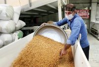 دیگ تولید لپه در آذرشهر هنوز می‌جوشد، اما دود مالیات چشم تولیدکننده را می‌سوزاند