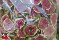 تقویت بسیج تقویت مردم/ ارزآوری میوه خشک بالاست باید تقویت شود