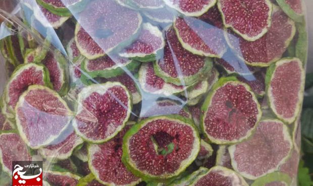 تقویت بسیج تقویت مردم/ ارزآوری میوه خشک بالاست باید تقویت شود