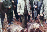 وقتي شکار، امتياز بود نه جرم؛ روايت يک تخريب سازمان‌يافته در دوره پهلوي»